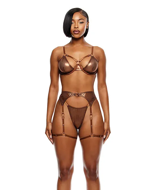 Forplay INC Female Sex Toys Liquid Metal Metallic Mesh Underwire Bra wGarter Belt GString 3 pc Set Metallic Copper Forplay INC Female Sex Toys Liquid Metal Metallic Mesh Underwire Bra wGarter Belt GString 3 pc Set Metallic Copper
