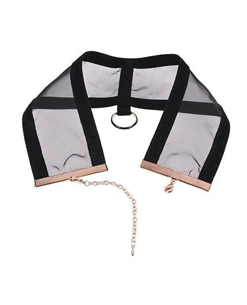 Sex Mischief Sheer Day Collar Sportsheets International Couples