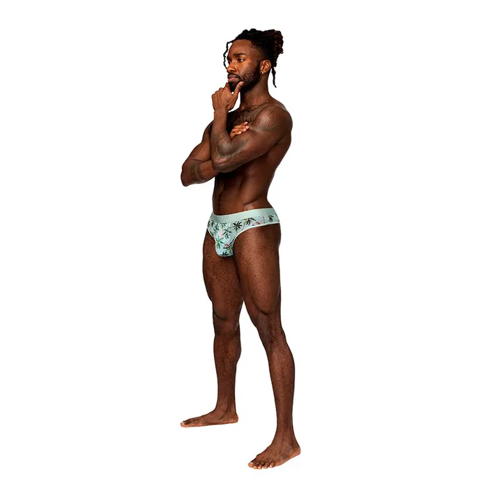 Male Sex Toys Male Power Sheer Prints Sheer Thong Flamingo SM Male Power