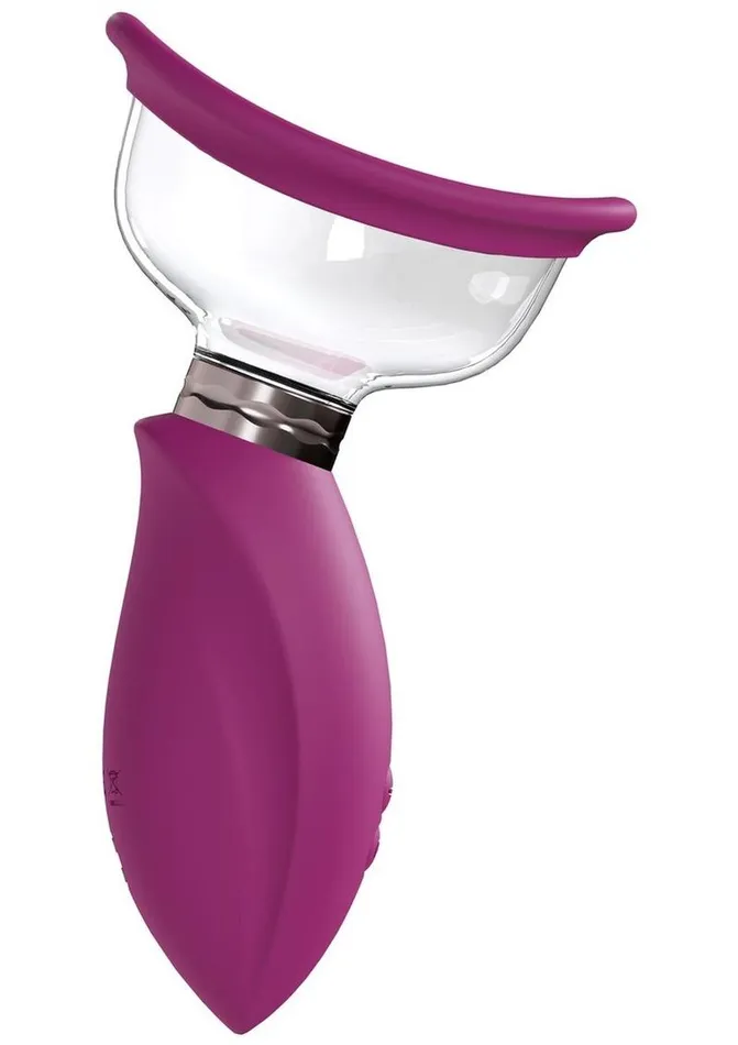 Pumped Female Sex Toys Pumped Arousing Automatic 5 Speed Silicone Rechargeable Vulva Clitoral Nipple and Breast Pump Pumped Female Sex Toys Pumped Arousing Automatic 5 Speed Silicone Rechargeable Vulva Clitoral Nipple and Breast Pump