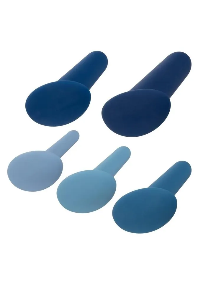 Anal They Ology Wearable Anal Trainer Theyology