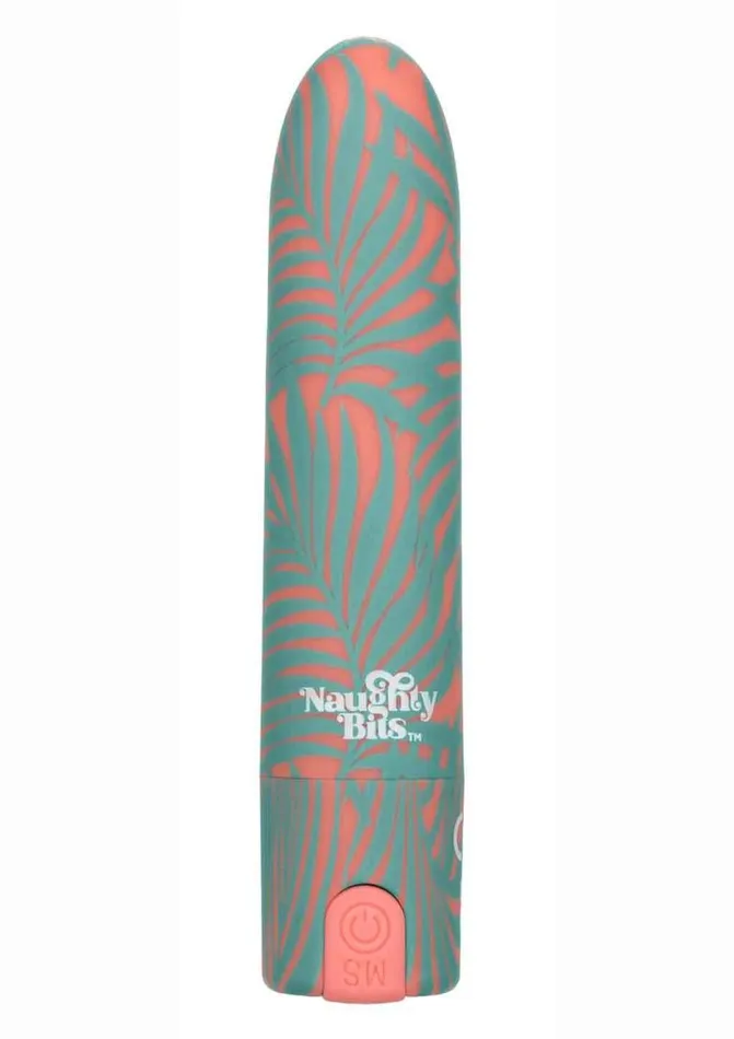 Female Sex Toys Naughty Bits You Do You Rechargeable Silicone Bullet Vibrator Naughty Bits Female Sex Toys Naughty Bits You Do You Rechargeable Silicone Bullet Vibrator Naughty Bits