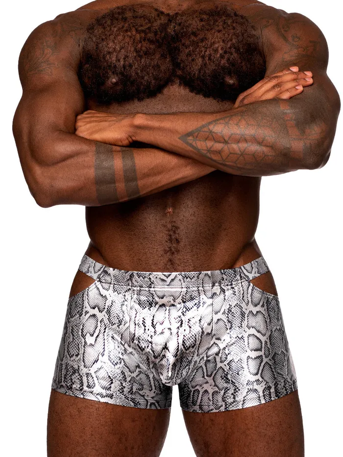 Male Power Anal snaked Pouch Short Large Silverblack