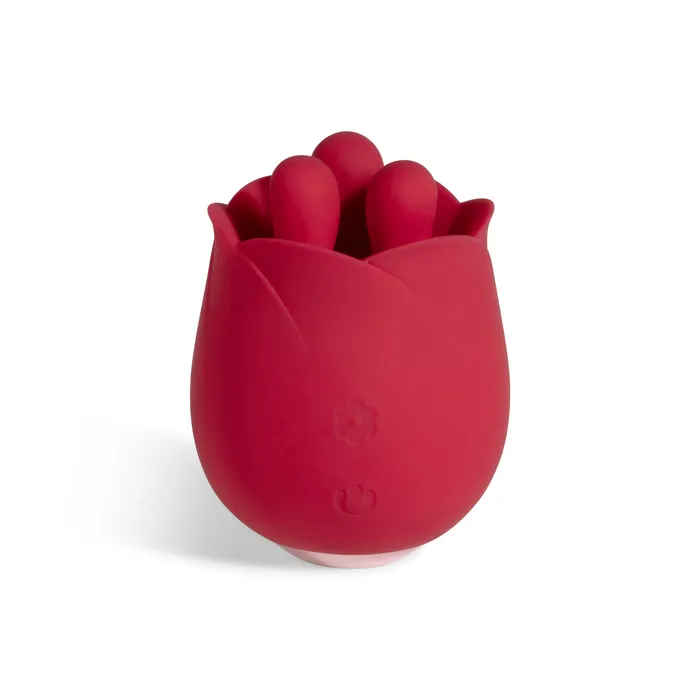 RoseBabeCo ROSE BABE 20 Vibrators