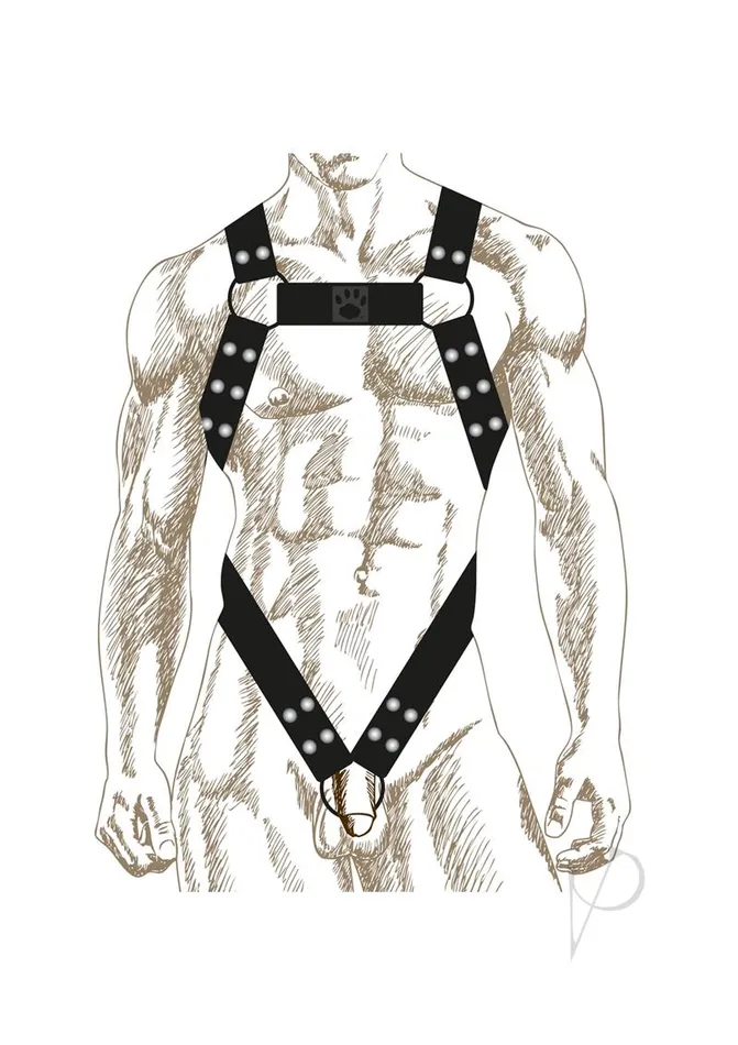 Prowler Red Prowler RED Butch Body Harness Large BlackSilver Anal