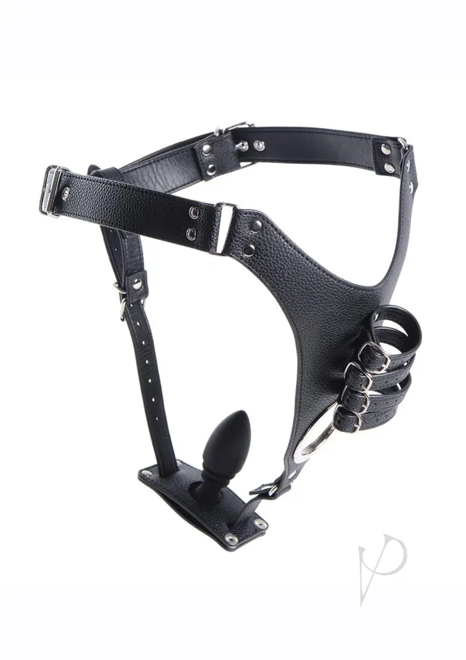Strict Strict Male Chastity Harness with Silicone Anal Plug Black Male Sex Toys