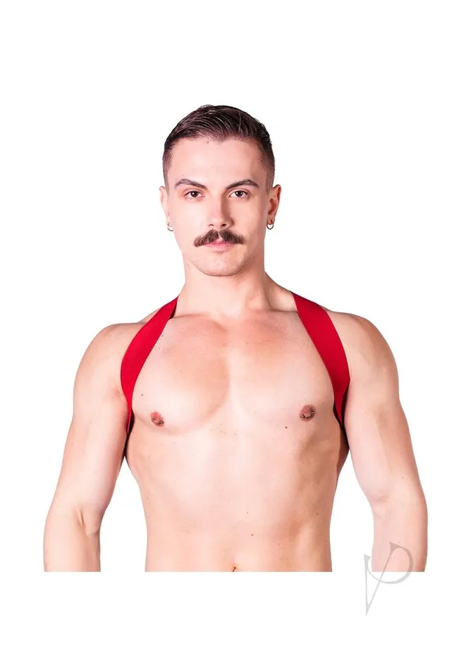 Vibrators Prowler Red Prowler RED Sports Harness Lite LXL Red