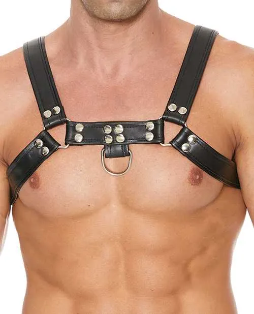 Vibrators Shots Uomo Chest Bulldog Harness LargeXLarge Black Ouch Uomo
