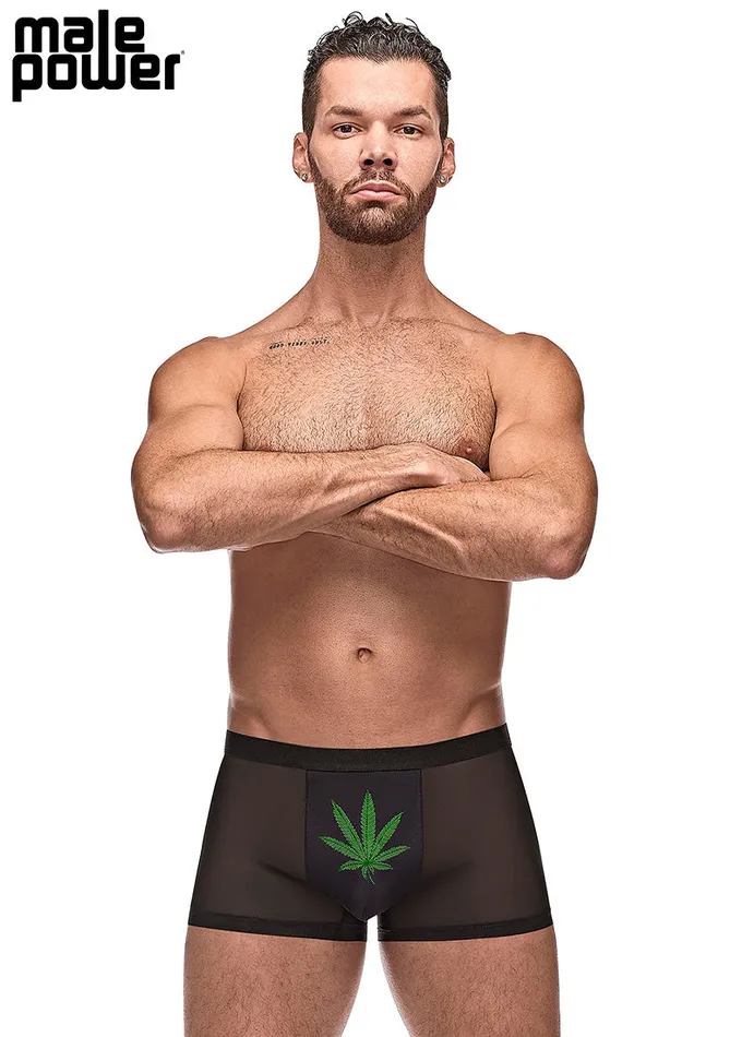 Anal Male Power Private Screening Pot Leaf Pouch Short Black Small