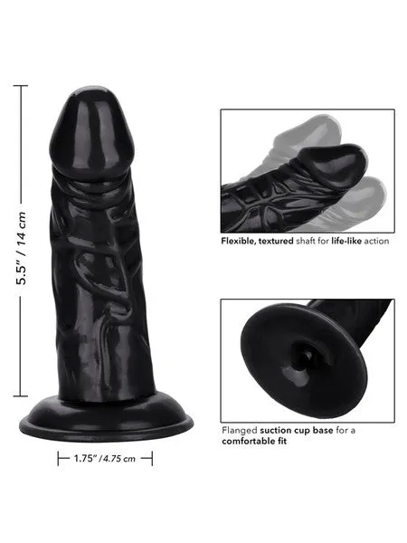 CalExotics Anal Back End Chubby Black