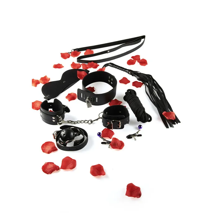 Couples Toy Joy Sex Toys ToyJoy BDSM Starter Kit