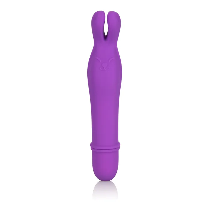 Vibrators CalExotics Shanes World Bedtime Bunny Purple