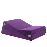 Vibrators Liberator Wedge Ramp Combo